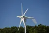 New 400w 12v 24v 5 blades wind power generator rooftop wind turbine with MPPT boost controller