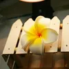 New 2" (5cm) Summer Hawaiian PE Plumeria flower Artificial Frangipani foam Flower for headwear Home decoration 100pcs/lot Free Shipping