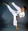 Uniformes personalizados de karatê kata karategi gi japão, listras de lona dura, marca de karatê profissional qualificada