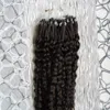 10 "-26" Brasiliansk Virgin Remy Mänskligt hår 100s Kinky Curly Micro Loop Hårförlängningar Brun 100g Kinky Curly Micro Link Hårförlängningar Mänsklig