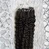 10"-26" Capelli umani Remy vergini brasiliani 100S Estensioni dei capelli ricci crespi Micro Loop Castani 100g Estensioni dei capelli ricci crespi Micro Link Umani