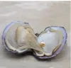 Koraliki 6-7.5mm Naturalna Pearl Oyster z Water Loose Pearls dla DIY Biżuteria Dokonywanie packaging Packuum