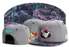 2017 Summer Cayler Sons Haze Kush Smoke Caps Caps Floral for Casquettes Chapeus Women Men Outdoor Snapback Hats Sport Fashio214S