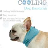 Asciugamano rinfrescante per il ghiaccio Bandana per cane da compagnia Sciarpa per gatti Estate Asciugamano rinfrescante traspirante Avvolgere Fiocchi blu Accessori in borsa al dettaglio