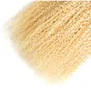 Blond brésilien crépus bouclés vierges armure de cheveux humains Bundles 200G 2PCS blonds brésiliens bouclés vierges armure de cheveux