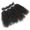 Kinky Curly Human Hair Buntar med stängning Bästa kvalitet Brasilianska Peruanska Virgin Remy Hair Weave 3 buntar med 4 * 4 Lace Closure Extension