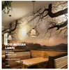 LED Nordic Fixtures Modern Hanging Lights Restaurant Home Lamps Bedroom Lighting Bar Cafe Pendant Lights