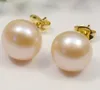 Vendita all'ingrosso naturale Genuine Akoya perla d'acqua dolce 14K oro orecchini placcati in oro