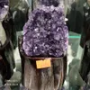 1PCS 1 lb Naturale Viola Ametista Cristallo Di Quarzo Cluster Geode Druzy Decorazione Della Casa Della Pietra Preziosa Campione di Legno box5106160