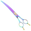 Purple Dragon 80quot Rainbow 3pcs Kits Pet Scissors Hair CuttingThinningCurved Hair Shears for Dog Grooming Imported Clip3973796