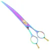 الأرجواني التنين 8.0 "rainbow 3 قطع أطقم مقص الشعر قص cuttinningcurved مقص الشعر ل كلب التهيأ الساخن كليبرز LZS0510 المستوردة