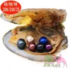 Mussel Shell Freshwater Oyster 6-7mm Natural Real Wish Pearl Pärlor 6st Pearl av olika färger gjorda i Oyster Shell Smycken