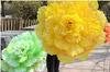 Parapluie à fleurs de pivoine pour spectacle de danse, parapluie chinois en tissu à deux couches, accessoires de scène pour femmes, Parapluie paraguay