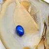 Oval Oyster Pearl 2018 New 6-8mm #9 Dark Blue Freshwater Natural Pearl Gift Bulk Decoration Vacuum Packaging Wholesale Free Shipping