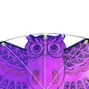 Śmieszne sportowe latawiec Nowy 110CMX80CM OWL AINIMAL KITE Single Line Breeze Outdoor Fun Sport dla dzieci Delta Kites