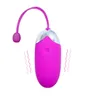Bluetooth USB Application sans fil rechargeable Télécommande vibrateurs d'oeufs Silicone vibration de vibratrice d'oeuf Sex Toys for Woman