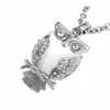 Classic Owl Cremation Urn Pendant Necklace Pendant & Fill Kit Ashes Stainless Steel