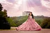 Robe de reconstitution historique de filles fabuleuses avec des fleurs 3D paillettes scintillantes perles manches longues robes de demoiselle d'honneur appliques moelleuses robe de bal robe d'anniversaire