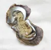 2020 DIY runde Oyster Perlen 6-7mm 25 Mix Farbe Meerwasser Natürliche Perlen Geschenk Schmuck Dekorationen Vakuumwholesale freies Verschiffen Verpackung