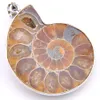 5 Pcs/Lot Unique Unisex Accessories Awesome Natural Stone Ammonite fossils 925 Silver Plated floating charm locket Pendant Necklaces
