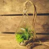 Teardrop Glass Hanging Plant Terrarium Clear Glass balls Container Glass Candle Holder for Home Decoration Wedding Decoration