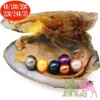 여성 DIY 쥬얼리 6-7mm Dyeing 28 가지 색상 담수 진주 사랑 진주 비즈 일본 Akoya Shell Oysters