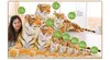 Dorimytrader Simulation Animal Tigre En Peluche Jumbo Animaux En Peluche Réaliste Tigres Jouets pour Enfants Cadeau Décoration De La Maison 170 cm 67 pouces