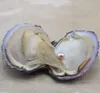 Pärlor 6-7.5mm Naturlig Pearl Oyster med vatten Lösa pärlor för DIY smycken gör vakuumförpackning grossist