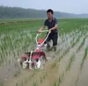 Agricoltura Agricoltura Disay Weeder Paddy WeeDing Machine 2 Srows Rice WeeDing Machine Paddy Field Weereder