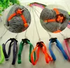 Justerbar träningsvandring Bird papegoja koppel löpning kabel nylon traktion rep sele reptil ödla sele koppel multicolor husdjur leksak