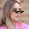 Fashion Popular Retro Vintage Narrow Small Triangle Cat Eye Sunglasses for Women Clout Goggles Plastic Frame Pc Lens