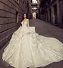 Fantastic Lace Ball Gown Wedding Dress See Through Long Sleeve Applique Sheer Backless Bridal Dress Glamorous Sexy Long Train Wedding Dress