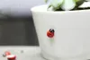 100PCSPACK TRÄN LADYBSS LADYBUG PLICKER barn barn målade självhäftande diy hantverk H5203663