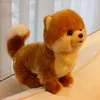 質の高いリアルなペットアニマルぬいぐるみおもちゃミニポメラニアのマルタ犬シバイバイヌ人形のための女の子ギフト装飾DY506593271773
