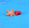 Mini Starfish Miniature التمثال الاصطناعي ديكورات حديقة زخرفة حيوانات البحر المصغرة 1221705