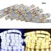 SMD 2835 5050 led şerit şerit ışık 12V 60leds / M su geçirmez IP65 IP21 Isınma Beyaz / RGB / KIRMIZI / MAVİ / YEŞİL Esnek ip şerit