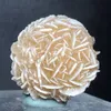 120g Natural DESERT ROSE SELENITE Healing raw Crystal Stone Mineral Specimen gross sample cluster fengshui decor reki