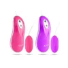 Tige de vibromasseur LED puissante à 10 vitesses, télécommande, stimulateur de Clitoris, masseur de point G, œuf vibrant, jouets sexuels pour femmes