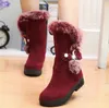 Snow Boots Botas femininas Ankle for Women Fashion Lady Boots Winter Zapatos Mujer Shoes Women's Winter Short plush Boots