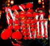 petite Lanterne pendentif Nouvel An chinois Printemps ornements festifs Plantes en pot fête hôtel Home bar Décoration de Noël Disposition de la scène