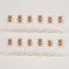 1,5 ml Mini-Glasflaschen mit Korken, 16 x 24 x 6 mm, leere kleine Wunschflasche, Glasfläschchen, Gläser, 100 Stück
