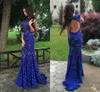Royal Blue Lace Evening Gowns Sparkly Crystals Open Back Sleeveless Mermaid See Through New Women Pageant Long Prom Dresses DH4118