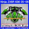 Body + Gold Tank för Kawasaki ZX-636 ZX 6R 600cc 6 R ZX636 05 06 210HM.2 ZX6R 05 06 Champagne Blk ZX600 ZX 636 ZX-6R 2005 2006 Fairings