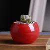 패션 세라믹 냄비 succulents 꽃 냄비 작은 공 라운드 흰색 도자기 화이트 컬러 미니 크리 에이 티브 9 색상