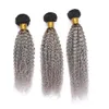 Fasci di capelli umani malesi Ombre nero e grigio argento Estensioni di trama di capelli ricci crespi Radice scura # 1B / Ombre grigie Tesse per capelli vergini 3 pezzi