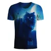 Hommes T-shirt T-shirt 3D T-shirts drôle chat Tshirt Hommes Femmes T-shirt Summer T-shirt à manches courtes T-shirt 3D Designer Vêtements S-5XL Golf Tshirt