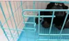 Mer storlek Mode Sturdy Slitstarkt Vikbar Pet Wire Cat Puppy Cage Suitcase Kennel PlayPen med bricka