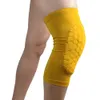 New Arrive Compression Leg Warmers Sports Cover Honeycomb Knee Padding Basketball Running UV Protection Leg Cover