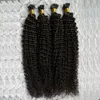 Doğal Renk Moğol Kinky Kıvırcık Saç U Tip İnsan Saç Uzatma 200g Afro Kinky Kıvırcık Ön Bağlanmış Füzyon İnsan Saç Uzantıları8851904