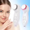 Bärbara 3MHz Ultraljud 7 Färger Photon Ultraljud LED Light Hud Therapy Anti Aging Beauty Massage Spar